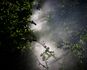 05-Tiergarten_2020_02_0108 1.jpg