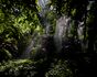 15-Tiergarten_2022_03_1076 1.jpg