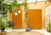24-Farbe-Gewaechshaus-Trendshooting.jpg