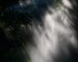 11-Tiergarten_2020_08_0375.jpg